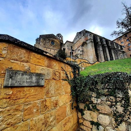 Apartamento Medieval En El Camino De Santiago Эстелла Экстерьер фото